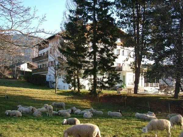 Hotel Due Pini Базельга-ді-Піне Екстер'єр фото